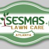 Budget Lawn & Tree Service