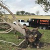 Lopez Tree Service