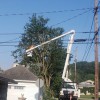 Zambo's Tree Service