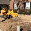 Economy Stump Removal