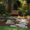 Tryon Creek Landscape