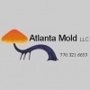 Atlanta Mold
