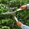 Musgroves' Professional Tree Care