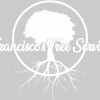 Francisco's Tree Service