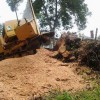 Atlanta Stump Removal
