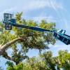 T & D Tree Service