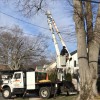 CR Tree Service