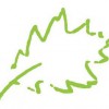 Landscape Concepts Management