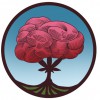 Redbud Soil