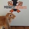 Midwest Lockouts