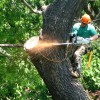Gerald's Tree Service Of Florida