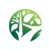 Triangle Tree Services