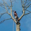 Staton Tree Service