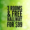 Eco Fusion Carpet Care