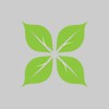 Leaf It To Us Tree Service