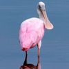 Port Aransas AC & Heating