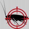 Dale's Pest Control