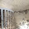Everest Duct & HVAC Cleaning