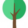 Tree Service Fort Worth
