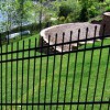Imperial Fence