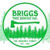 Briggs Tree Services