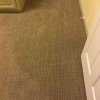 EcoSafe Dry Carpet Care