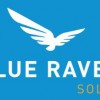 Blue Raven Solar