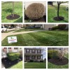 Indy Lawn Maintenance