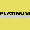 Platinum Paving & Concrete