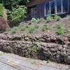LBD Landscaping