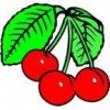 Cherry City Plumbing