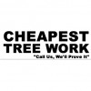 Cheapest Tree Work