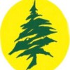 Green Pine Tree Service