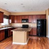 Mold Removers