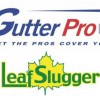 Leaf Slugger