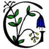 Green Services