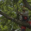 Lancaster Tree & Lawn