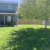 Cedar Fence