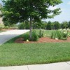 Action Lawn Care