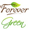 Forevergreen Professional Lawn Care