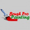 Brush Pro Painting