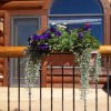 Floral Gardening