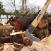 TreeWise