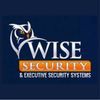 Wise Security Systems