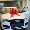 Audi Lakeland