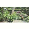 Letty Love Landscaping