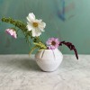 The Tender Gardener