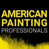 American Painting Professionals
