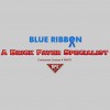 Blue Ribbon A Brick Paver Specialist