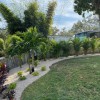 Fast Lawnscapes